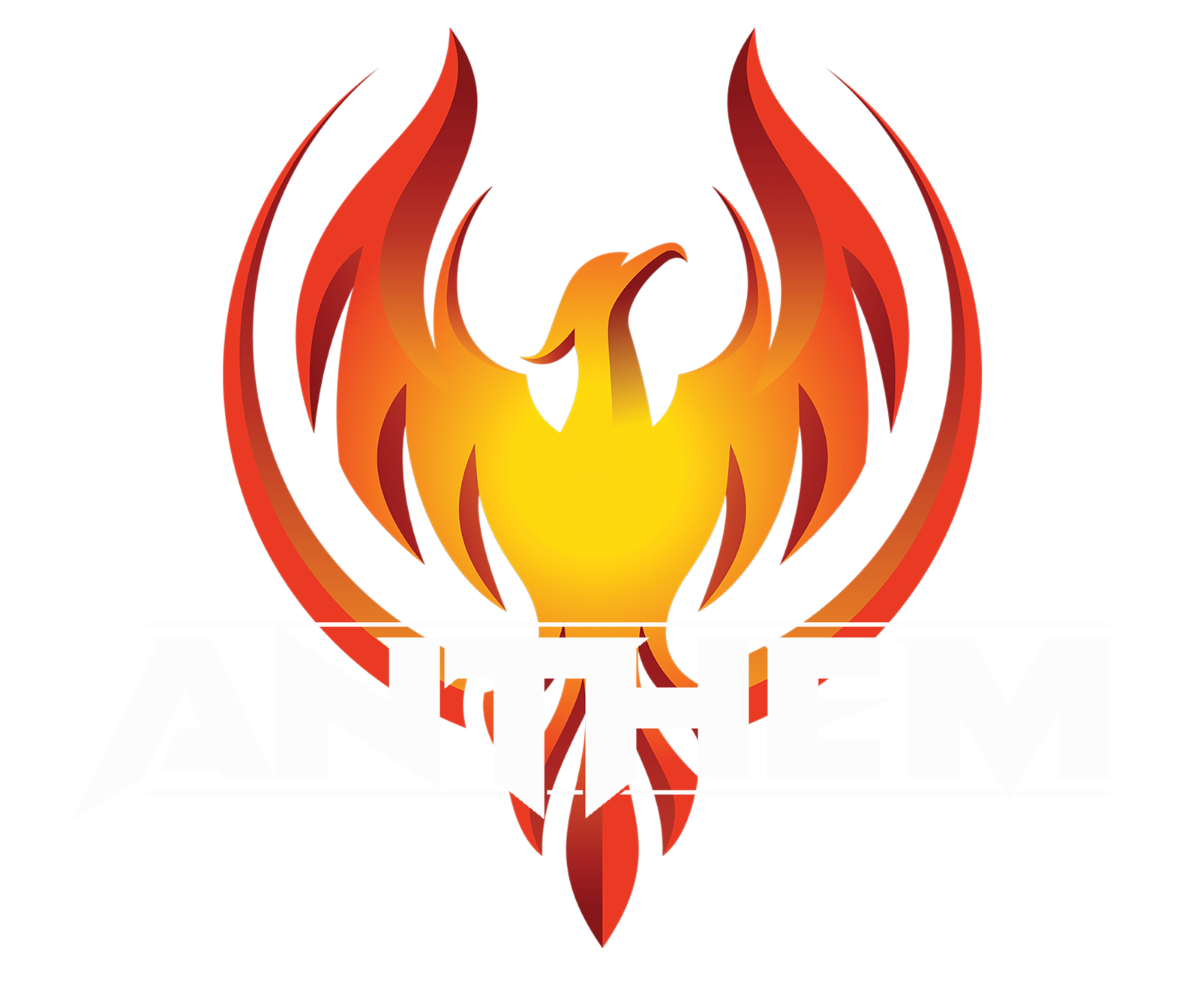 Events Archive Anthembandchicago